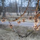 Műanyag karácsonyi égő, fekete, 3,1W, 2200K LED, IP44
