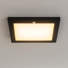 Műanyag mennyezeti lámpa érzékelővel fekete, Luan, 18 W, 3000 K LED