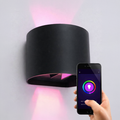 Retro okos fali lámpa fekete, Dion, 6 W, RGBW LED, IP54