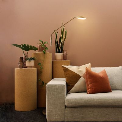 Retro álló olvasólámpa sárgaréz, Salvador, 5 W, 3000 K LED, kapcsolóval