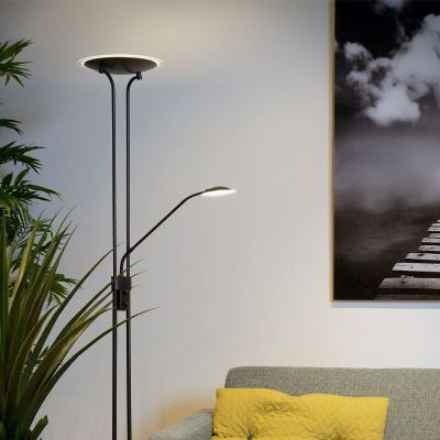 Fekete fém álló olvasólámpa, Champion, 20 W, 3000 K LED, kapcsolóval