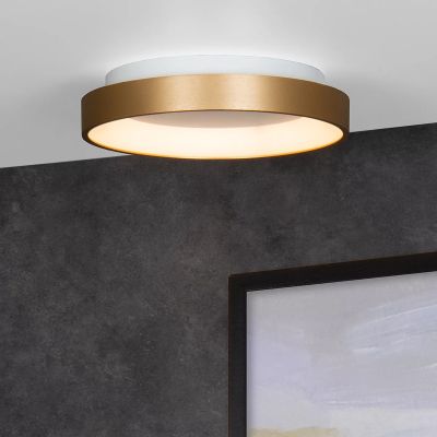 Arany műanyag plafon lámpa, Vidal, 20 W, 2700 K LED