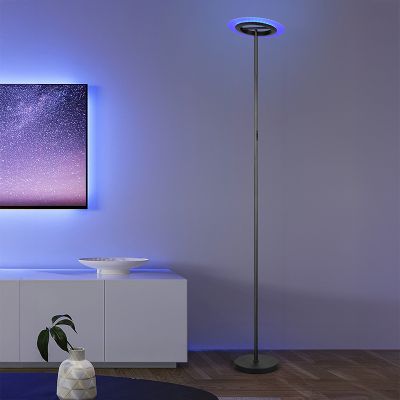 Fekete fém állólámpa, Sanjeev, 16,5 W, RGBW LED, távirányítóval