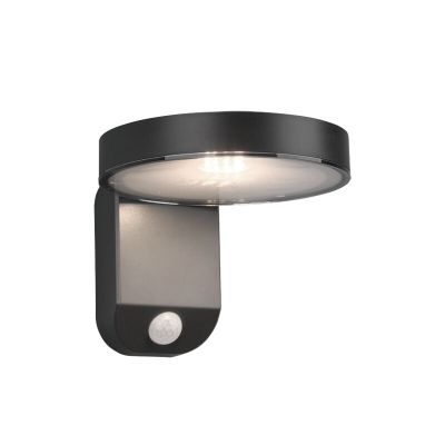 Antracit műanyag mozgásérzékelős kültéri fali lámpa, Sunny, 4,5 W, 3000 K LED, IP44